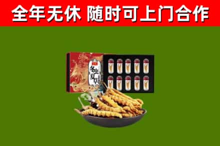 德安回收冬虫夏草价格